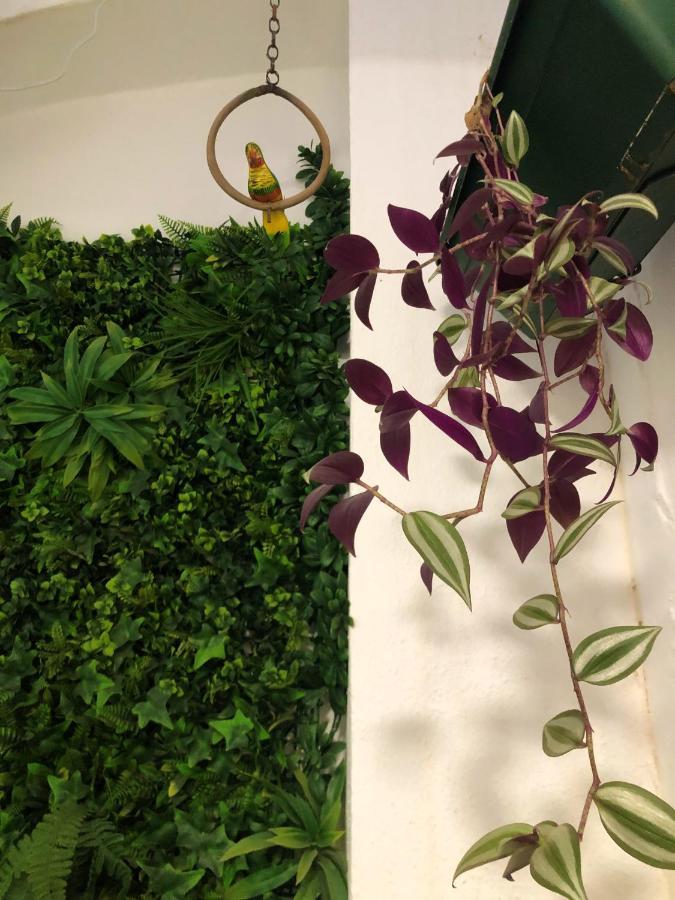 Apartment Naturehouse